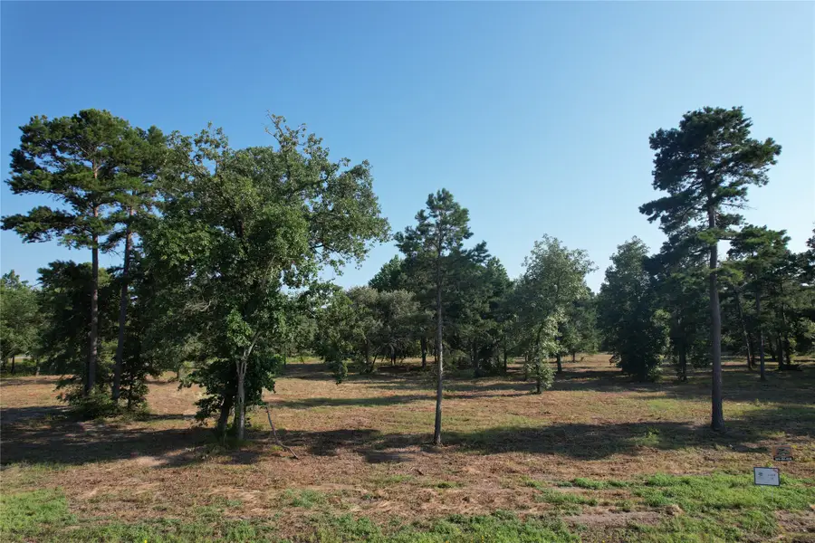 3145 Shadow Pine Drive, Larue, TX 75770 - Image #2