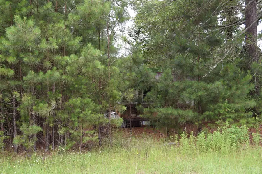 208 Palmetto Drive, Minden, LA 71055 - Image #2