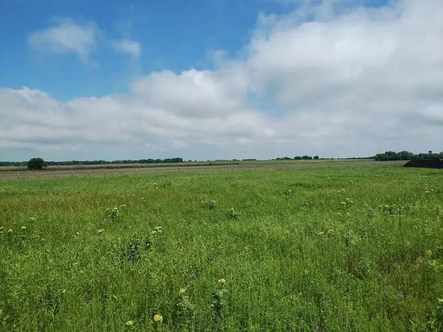 4225 County Road 4225, Cooper, TX 75432 - Image #2