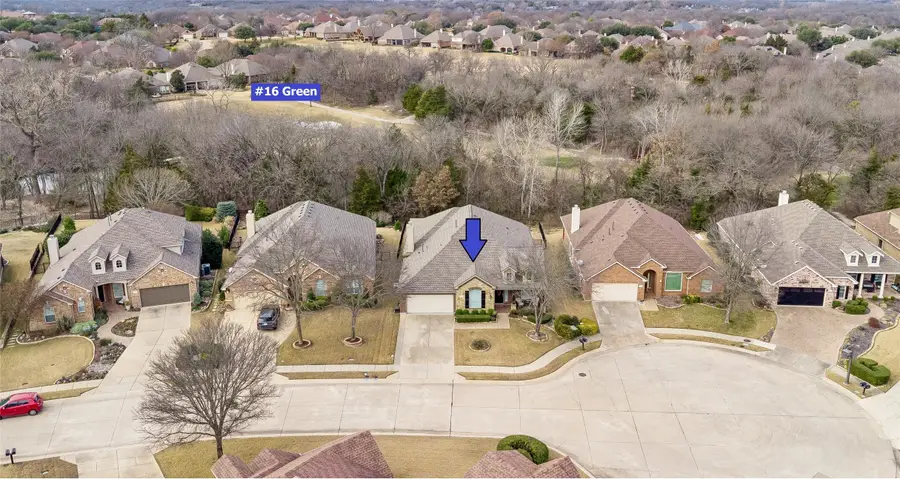 447 Black Diamond Court, Fairview, TX 75069 - Image #3