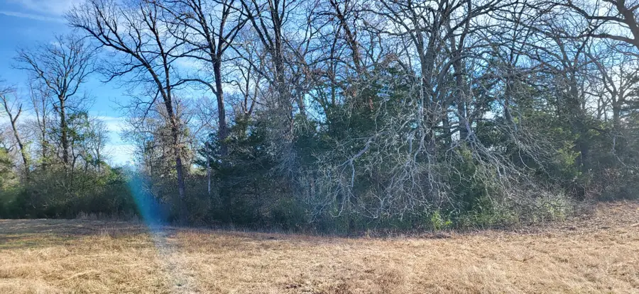 1191 County Road 2420, Pickton, TX 75471 - Image #2