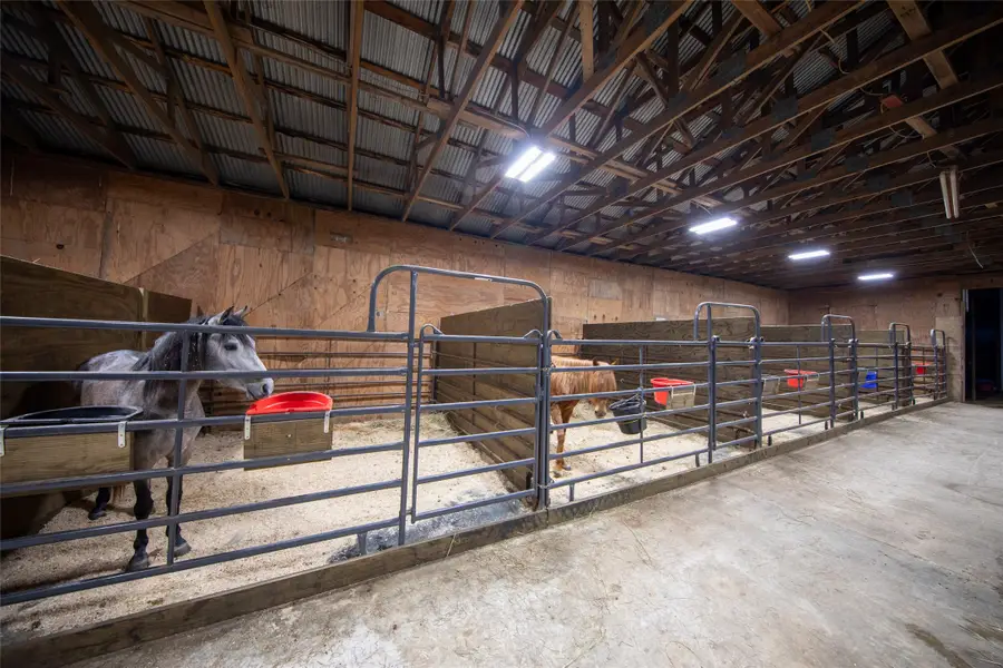 1095 Fm 194, Blossom, TX 75416 - Image #3