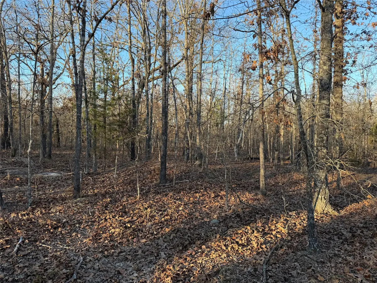 TBD Cr 45610, Blossom, TX 75416 - Image #1