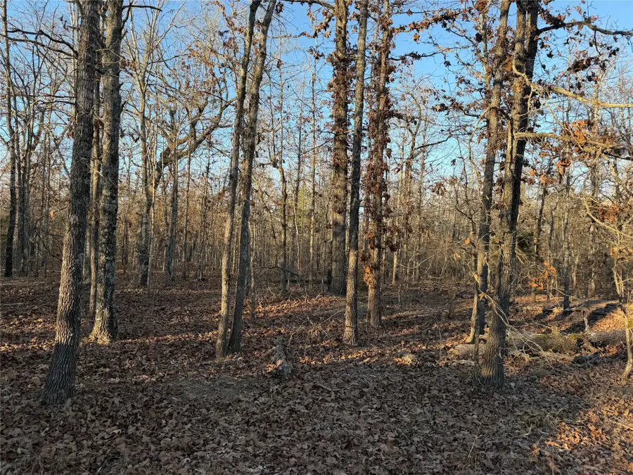 TBD Cr 45610, Blossom, TX 75416 - Image #2