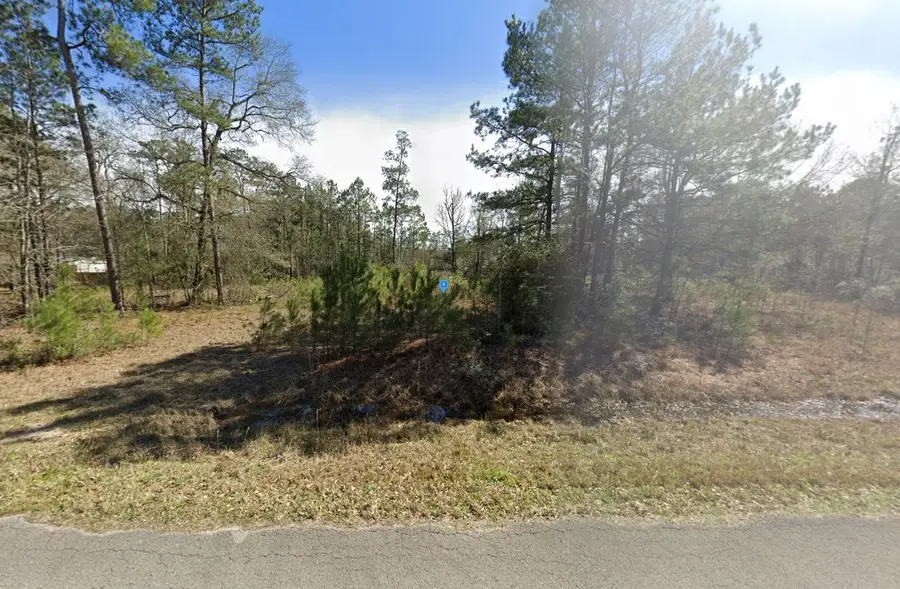 18795 Country Place Drive, Conroe, TX 77302 - Image #2