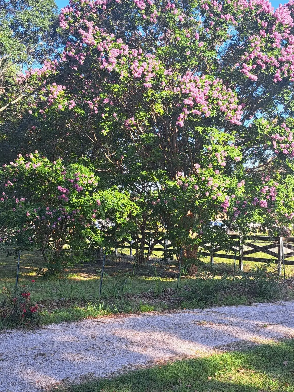 9394 County Road 865, Princeton, TX 75407 - Image #1