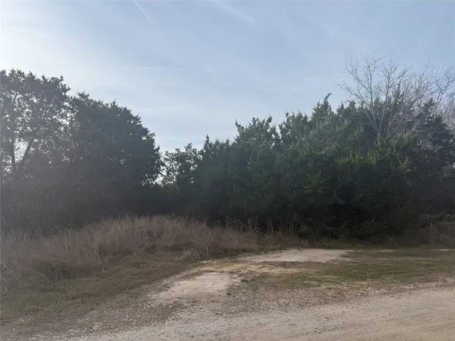 58 Bramble Bush Drive, Morgans Point Resort, TX 76513 - Image #3