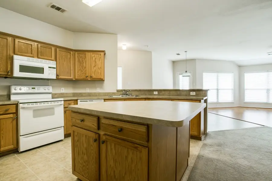 221 Hilltop Drive, Anna, TX 75409 - Image #2