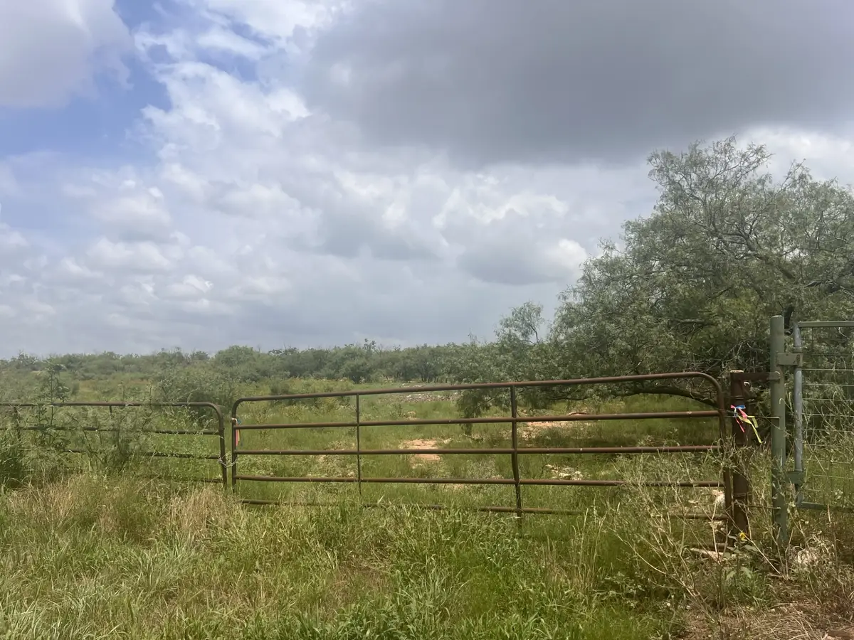 TBD Fm-1770, Winters, TX 79567 - Image #1