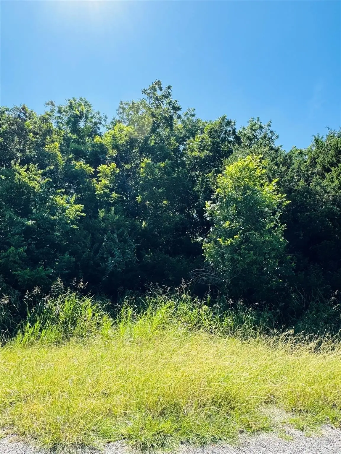 1277 Paint Brush Court, Whitney, TX 76692 - Image #1