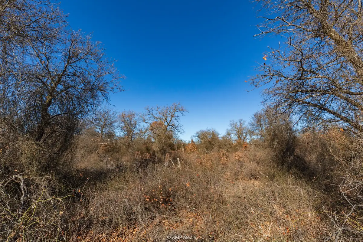 TBD Private Road 705, Anson, TX 79501 - Image #1