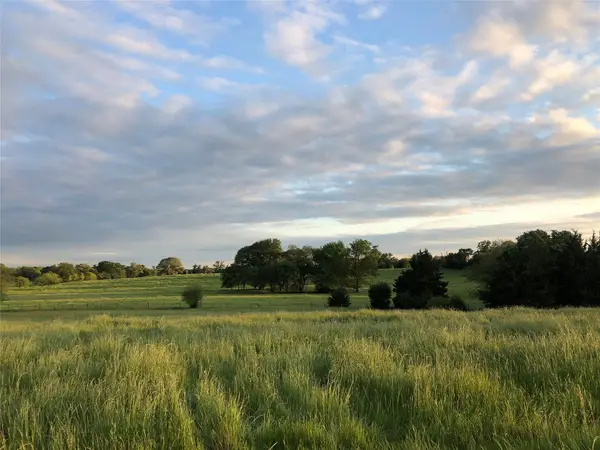 3739 W Fm 515, Como, TX 75431