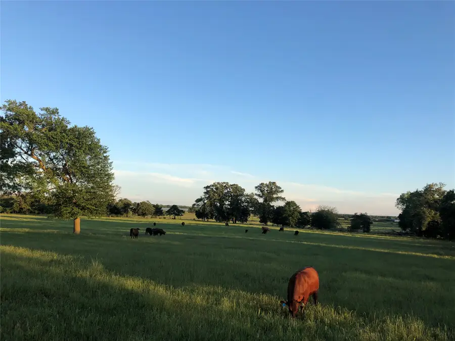 3739 W Fm 515, Como, TX 75431 - #2