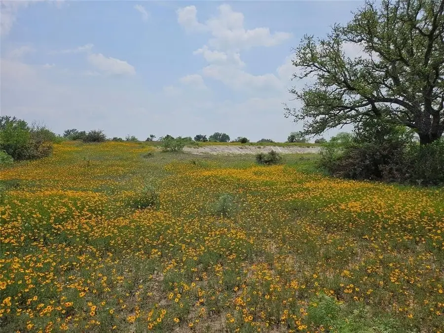 TBD Starks Road, Mason, TX 76856 - Image #2