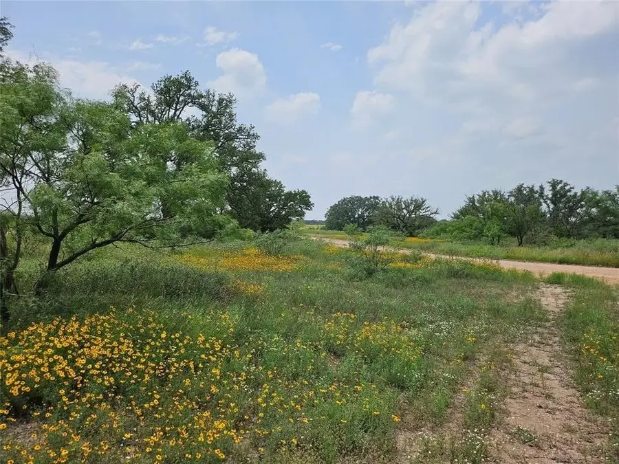 TBD Starks Road, Mason, TX 76856 - Image #3