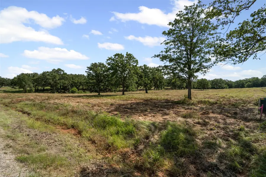 1110 Gonzollas Road, Springtown, TX 76082 - Image #2