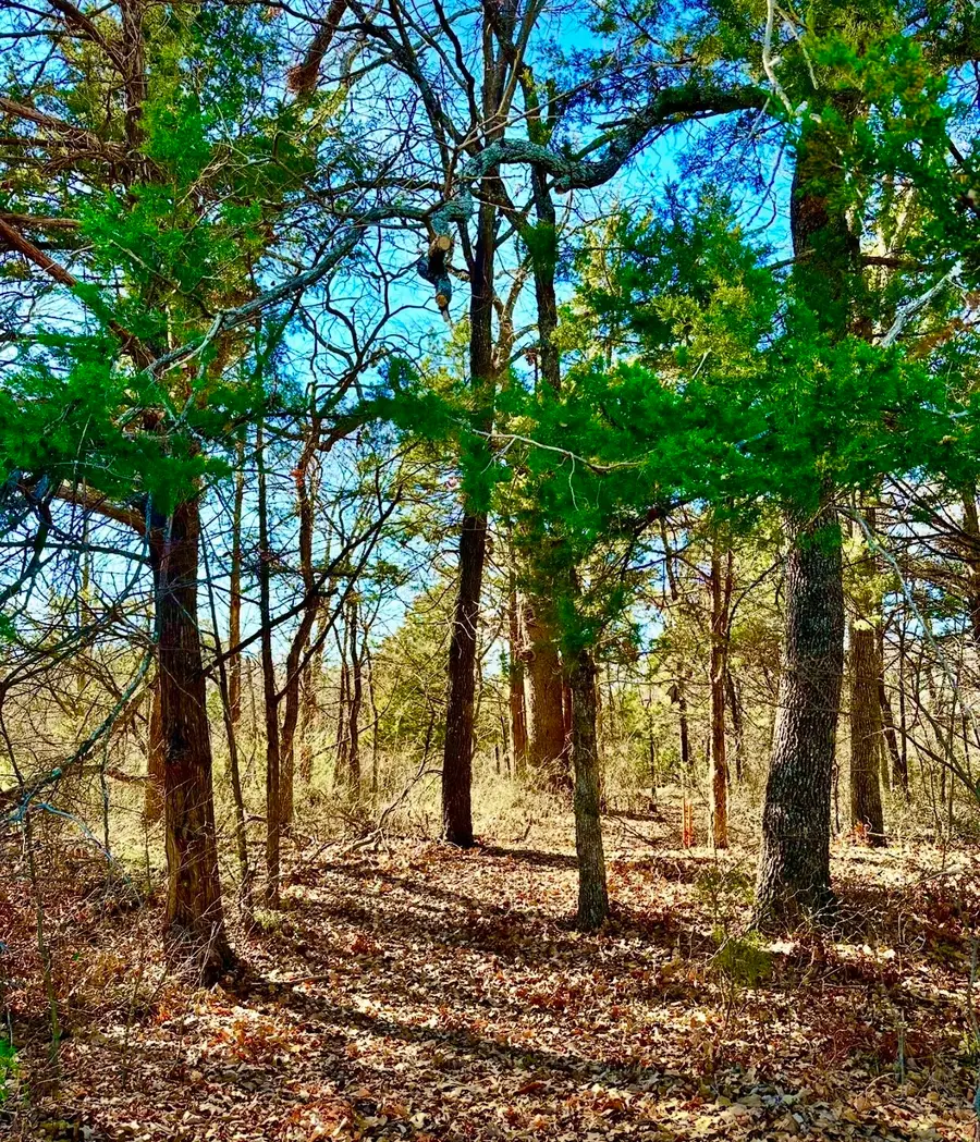 Lot 15 Dublin Circle, Gordonville, TX 76245 - Image #2