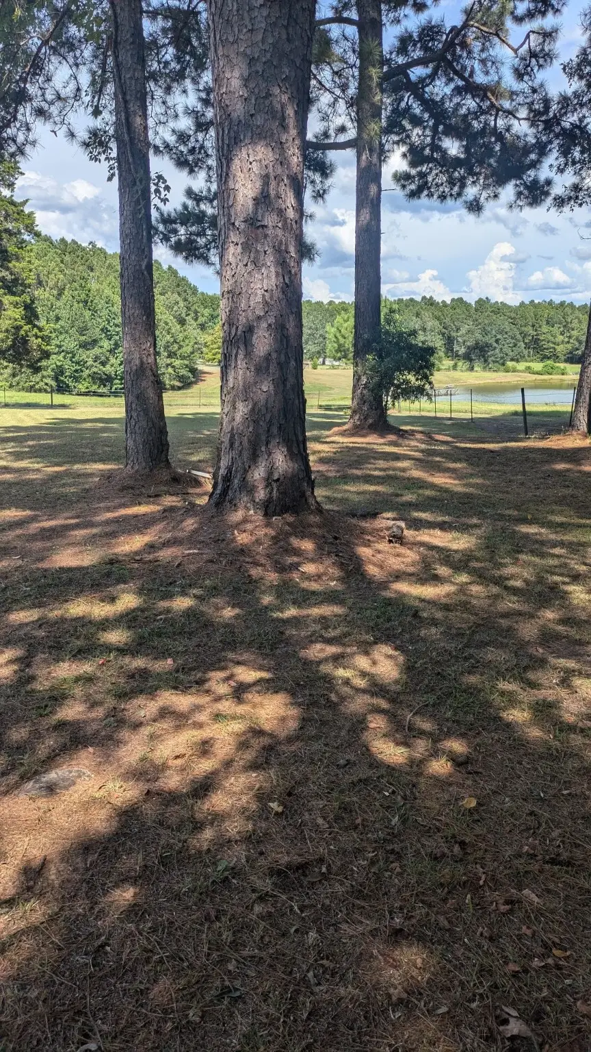 294 Fishing Grounds Road, Pelican, LA 71063 - Image #2