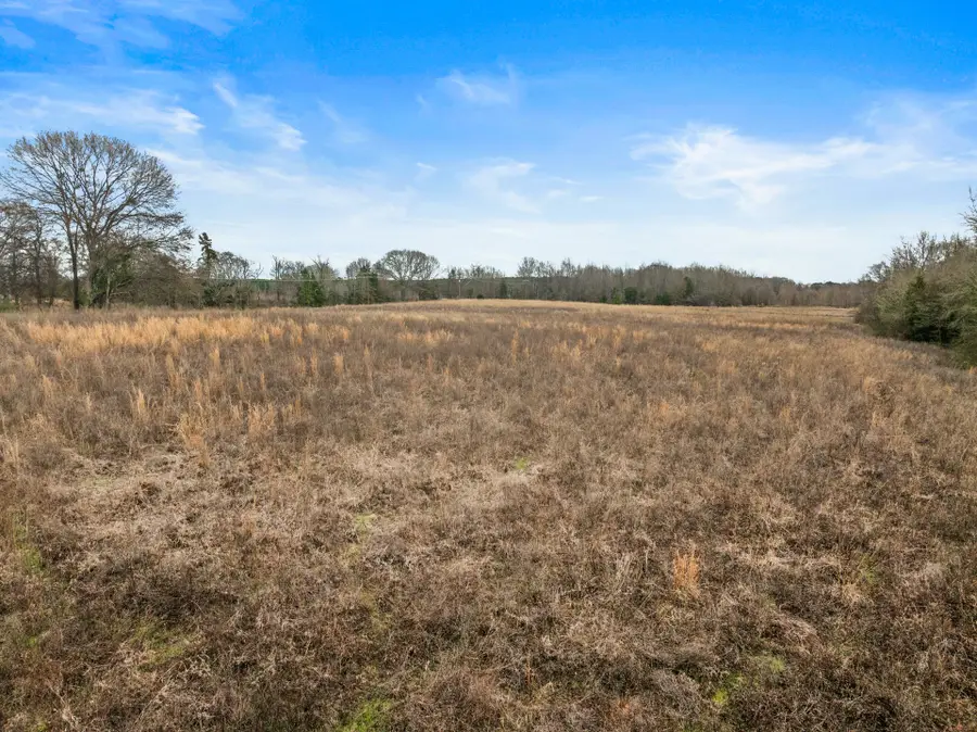 TBD County Road 2212, Pittsburg, TX 75686 - Image #3