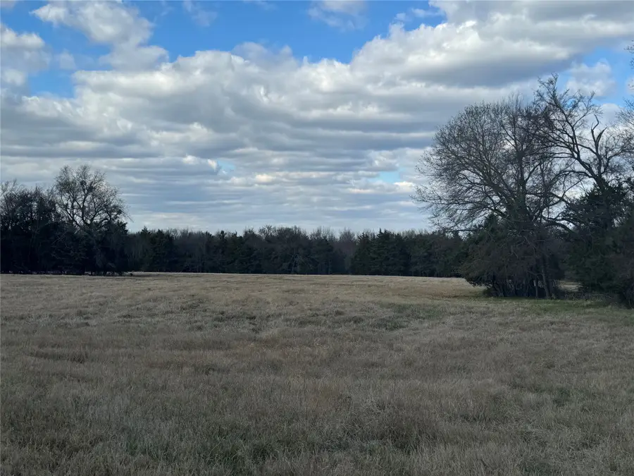 29 Acres County Road 2400, Pickton, TX 75471 - Image #3