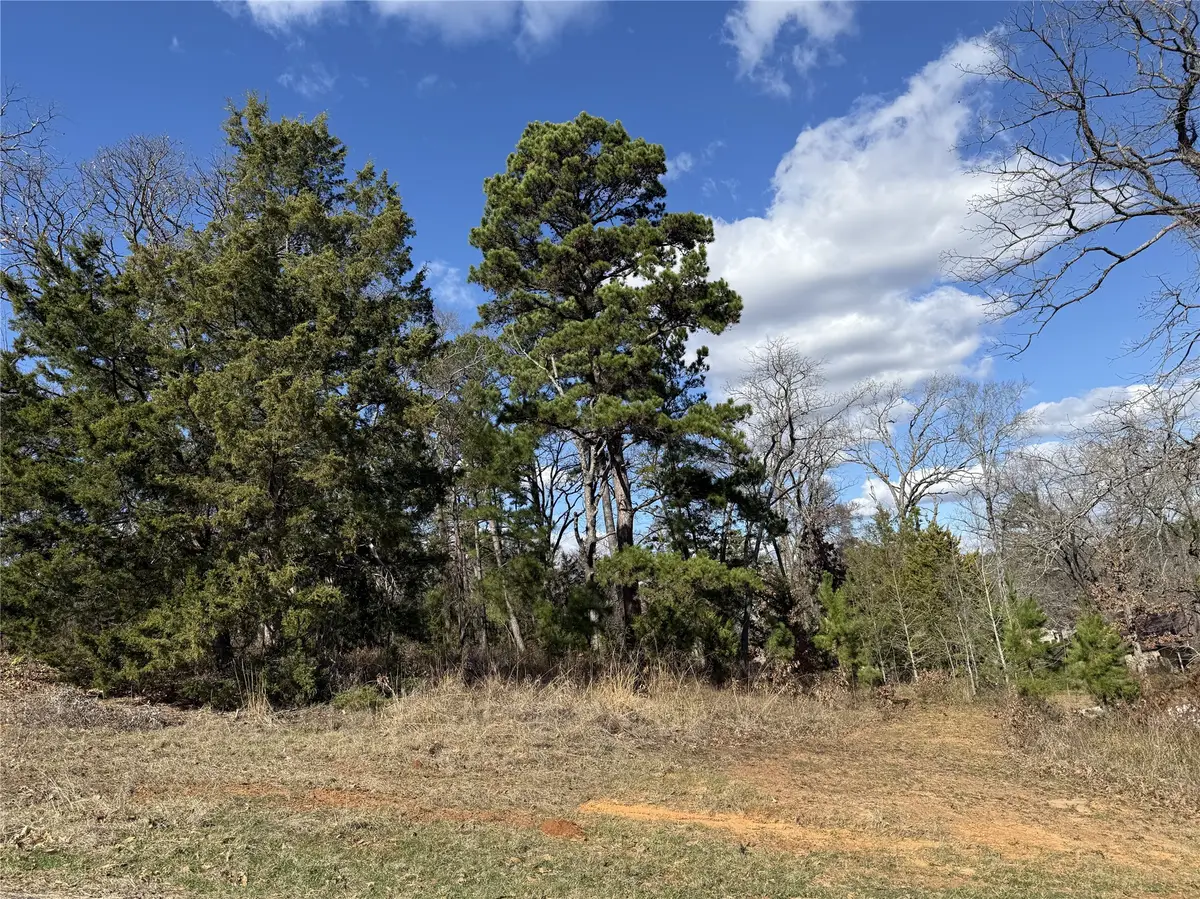 15899 Crazyhorse Drive, Lindale, TX 75771 - Image #1