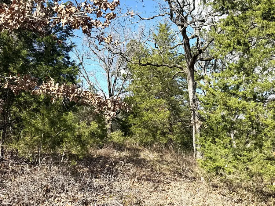 15899 Crazyhorse Drive, Lindale, TX 75771 - Image #3