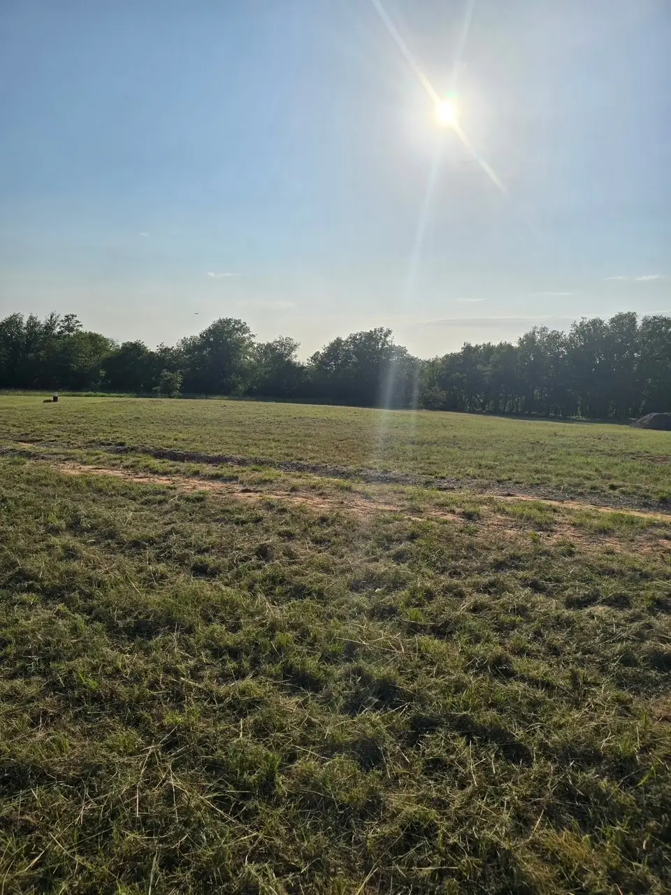 384 Red Oak Hills Road, Nocona, TX 76255 - Image #1