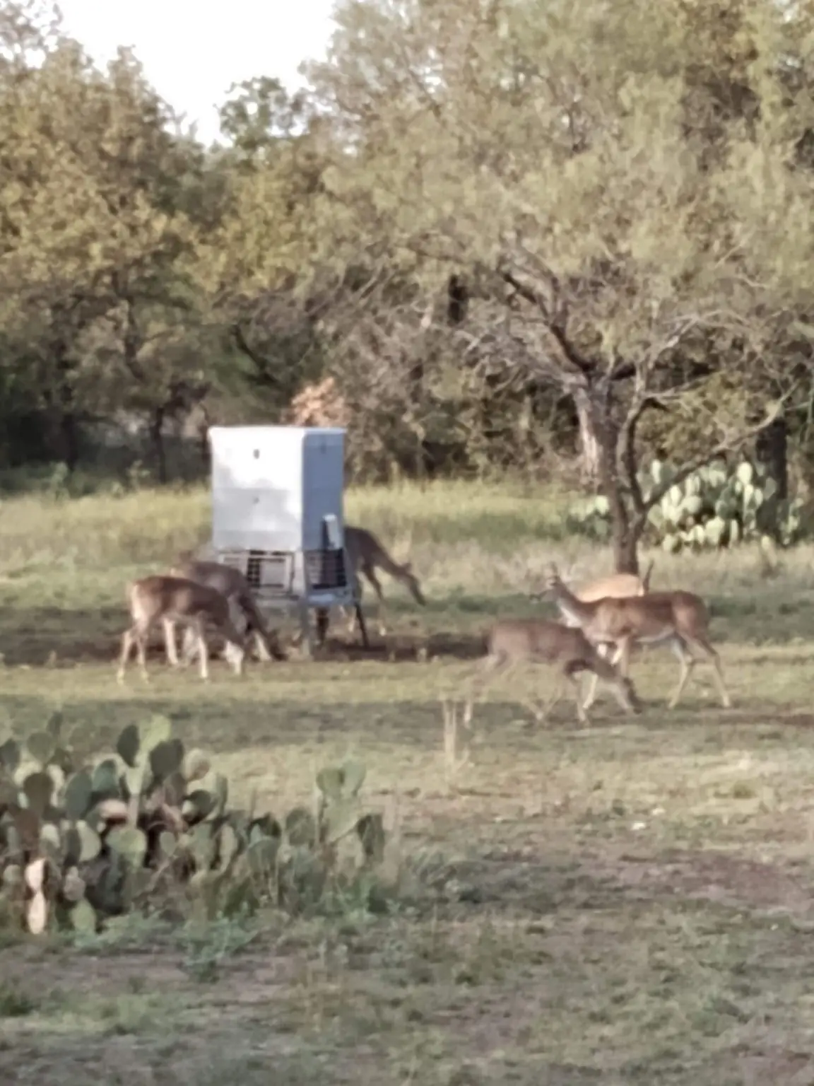 000 County Road 152, Brady, TX 76825 - Image #1