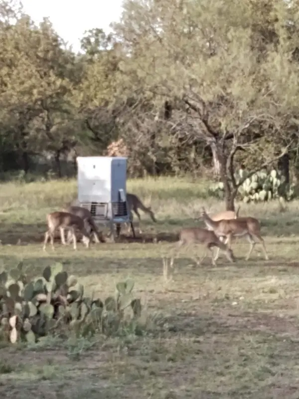 000 County Road 152, Brady, TX 76825