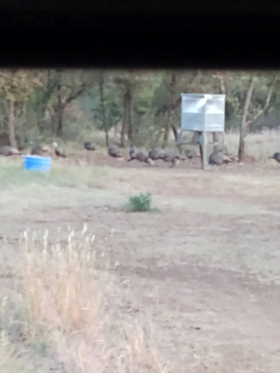 000 County Road 152, Brady, TX 76825 - Image #3