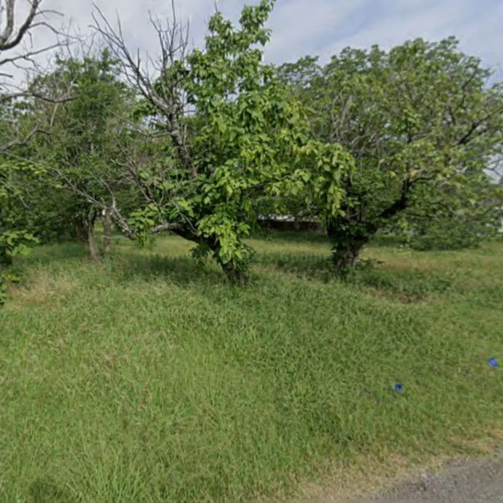 TBD 3rd Street, Celeste, TX 75423 - Image #1
