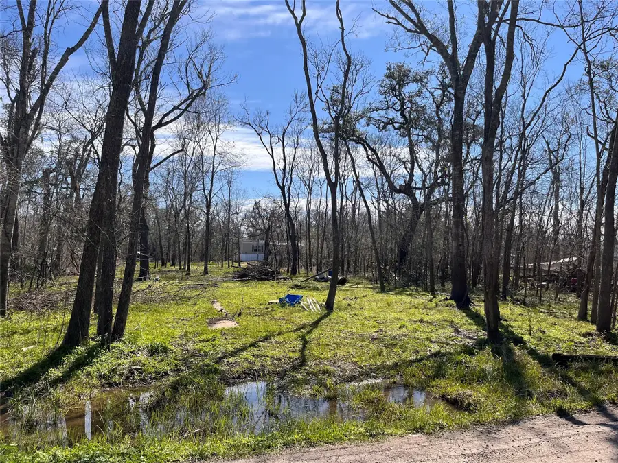 TBD Penguin Lane, Holiday Lakes, TX 77515 - Image #3