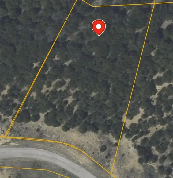 1397 Canyon Wren South Loop, Graford, TX 76449 - Image #3