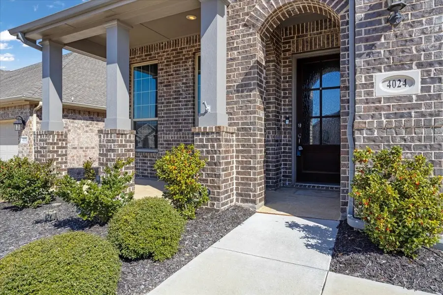 4024 Rosin Street, Aubrey, TX 76227 - Image #3