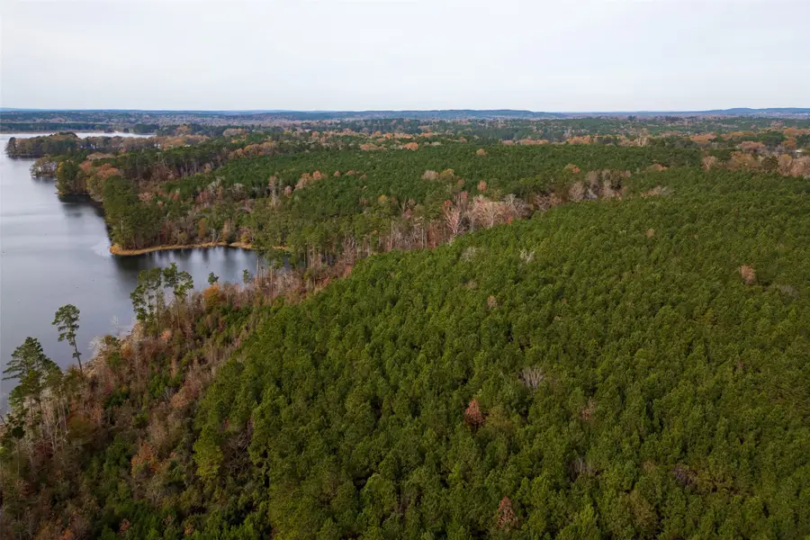 00 County Road 1211, Center, TX 75935 - Image #3