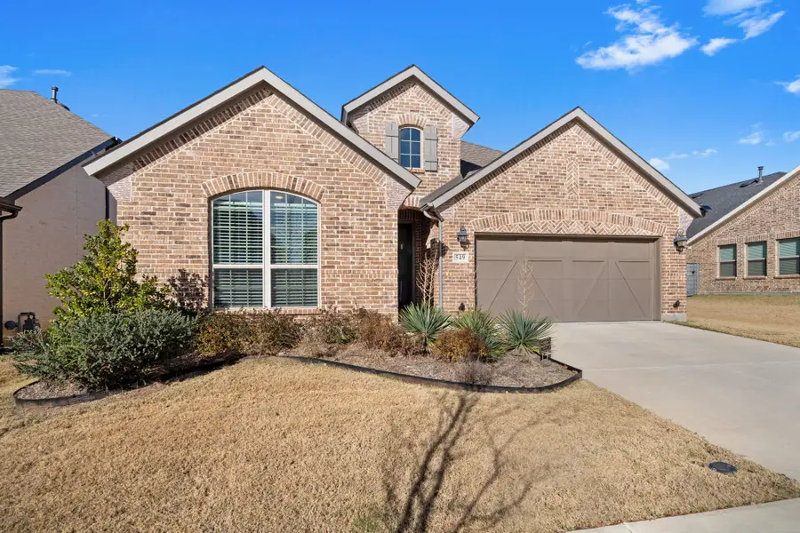 549 Cedarwood Street, Little Elm, TX 76227 - Image #2