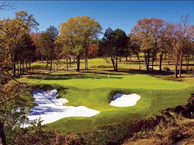 136 Leo Palace Lane, Gordonville, TX 76245 - Image #2