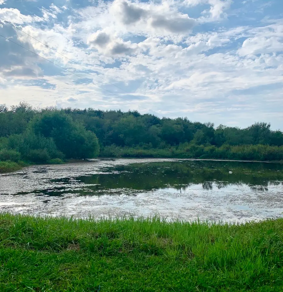 764 County Road 3422, Bynum, TX 76631 - #3