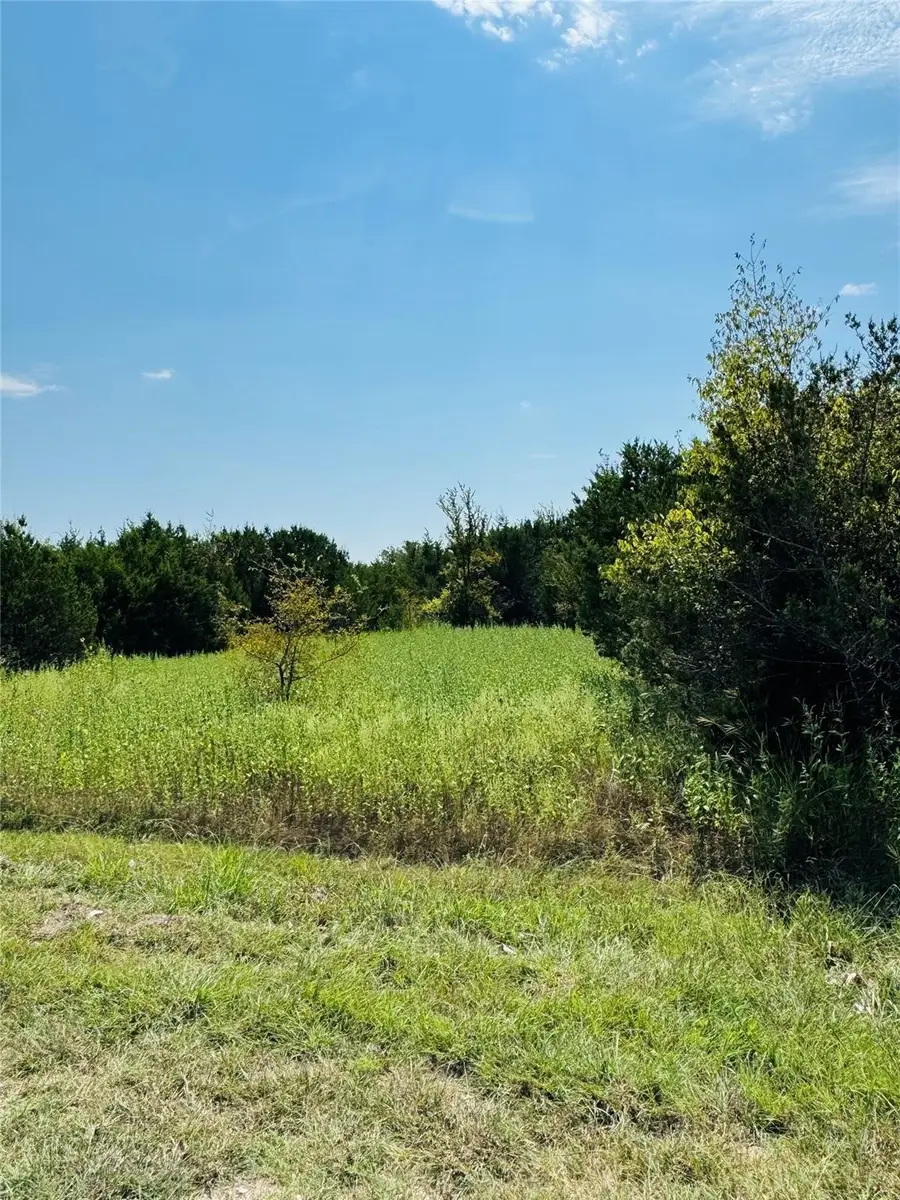 36060 Cedar Ridge Drive, Whitney, TX 76692 - Image #3