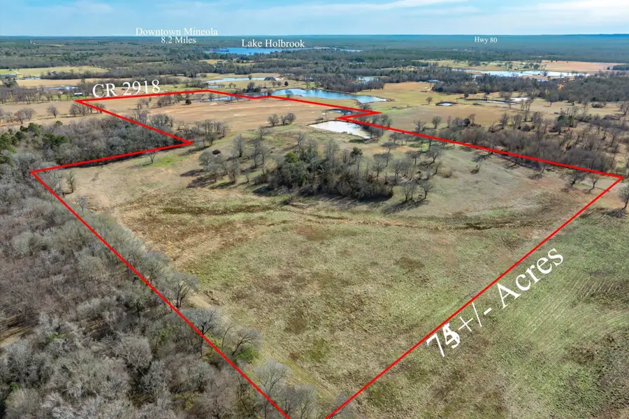 000 County Road 2918, Mineola, TX 75410 - #2