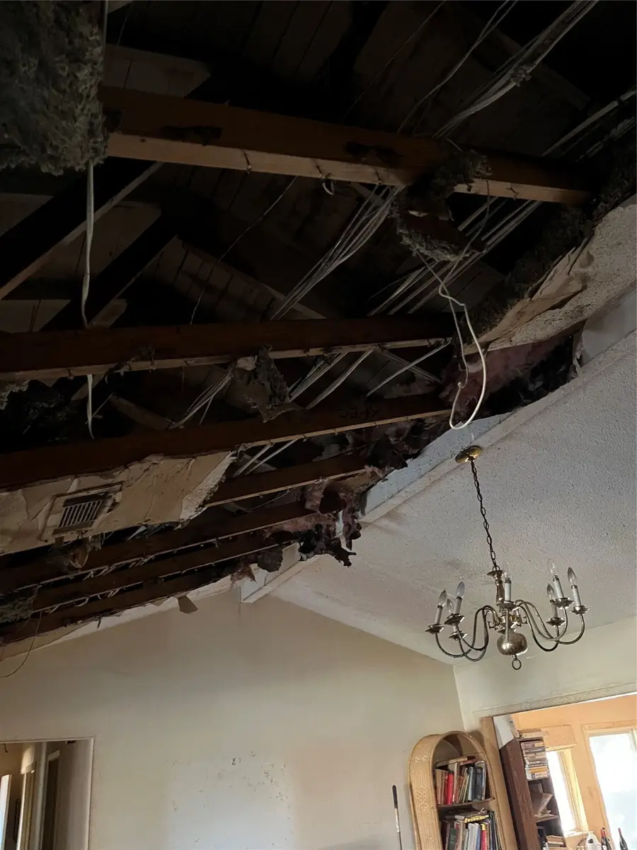 1208 Berkeley Drive, Richardson, TX 75081 - Image #3