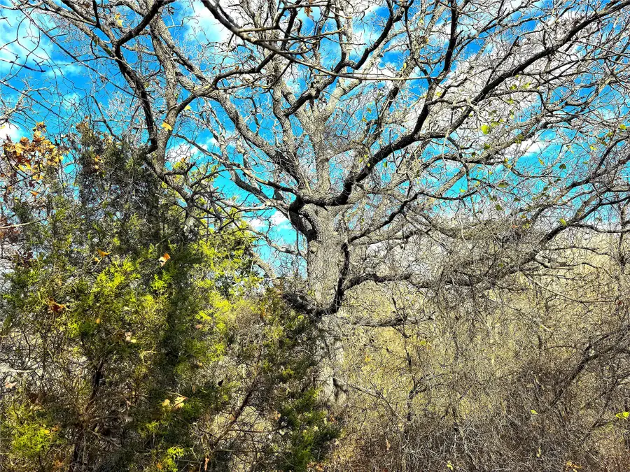 17101 Fm-920, Poolville, TX 76487 - Image #3