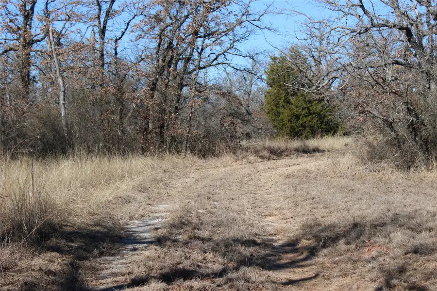574 County Road 1793, Sunset, TX 76270 - Image #2