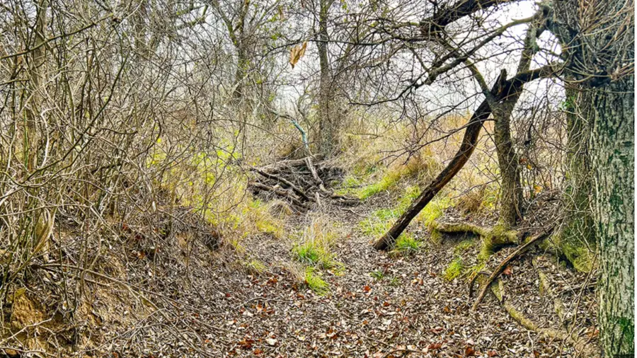 0000 County Road 165, Sidney, TX 76442 - Image #3