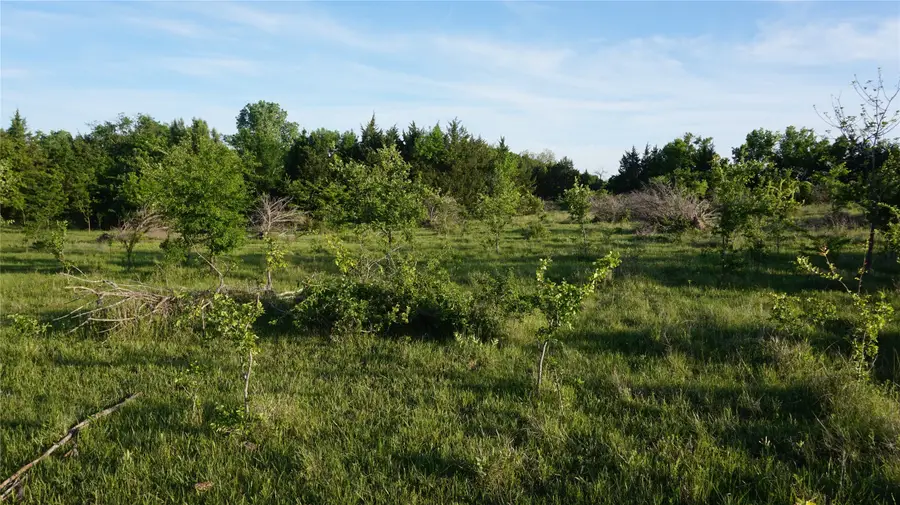 TBD Lot 3 Adams Road, Sherman, TX 75090 - #3