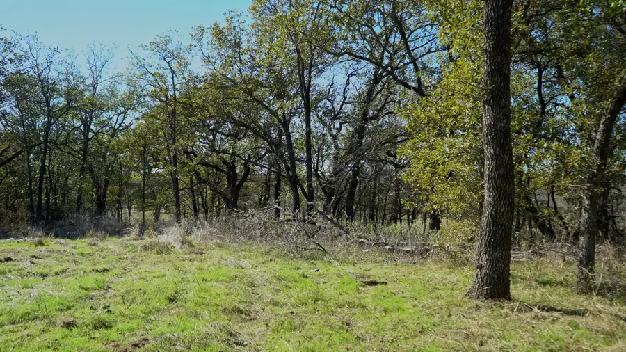 513 Palomino Court, Runaway Bay, TX 76426 - Image #3