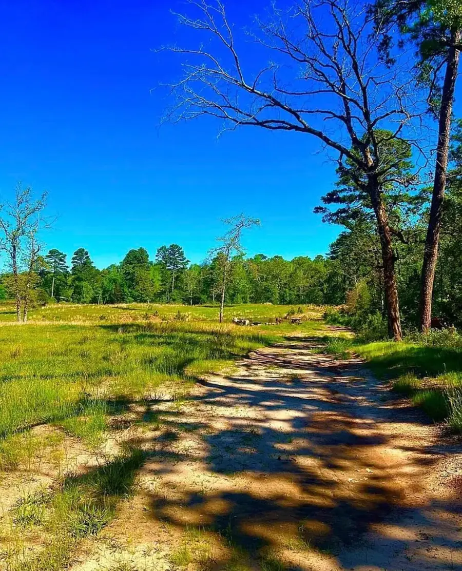 868 County Road 2920, Alba, TX 75410 - #2