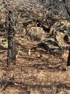 138 Cortez Drive, Nocona, TX 76255 - Image #2