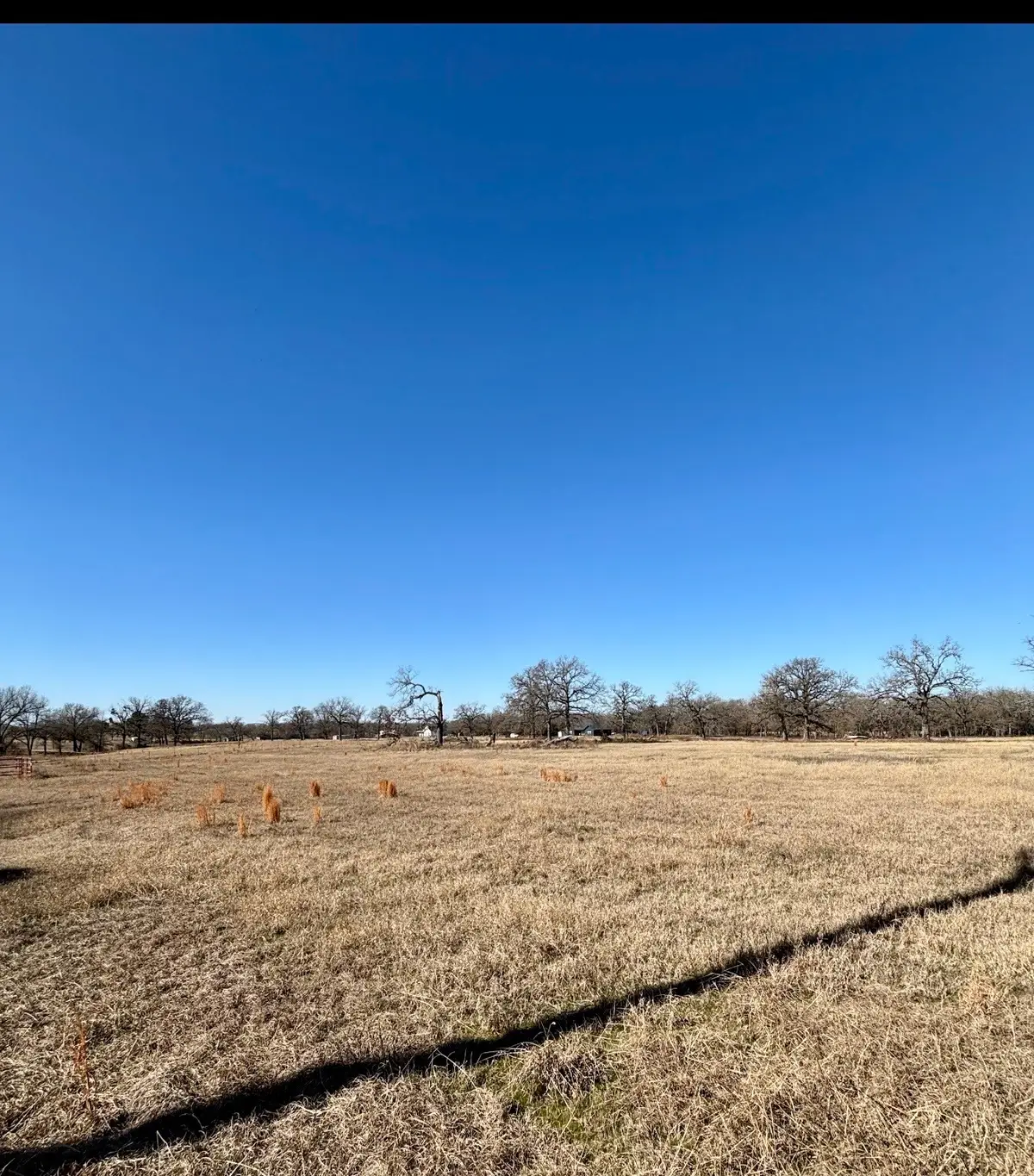 TBD County Road 1200, Athens, TX 75751 - Image #1