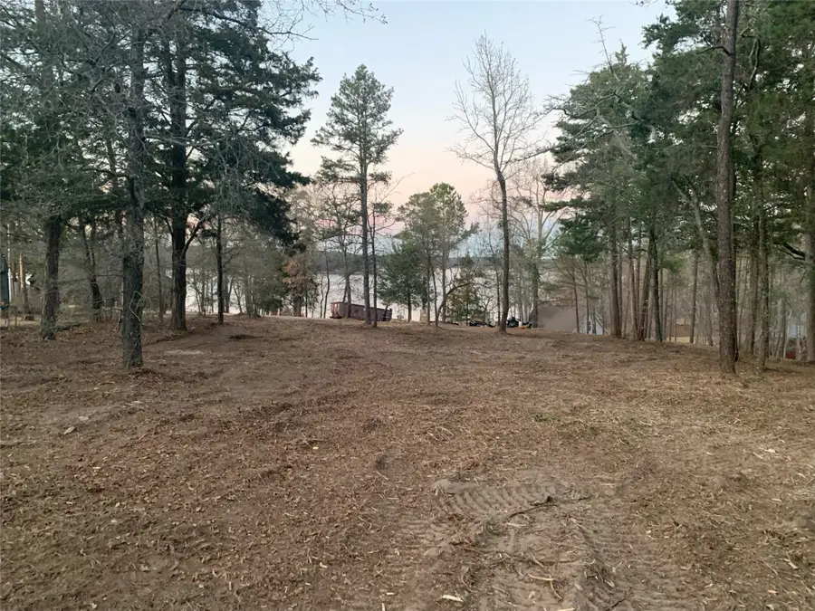 TBD Pedernales Street, Scroggins, TX 75480 - Image #3